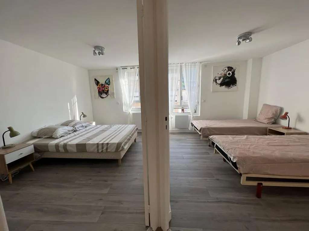 Le Nid Du Sanctuaire Apartment Lourdes France
